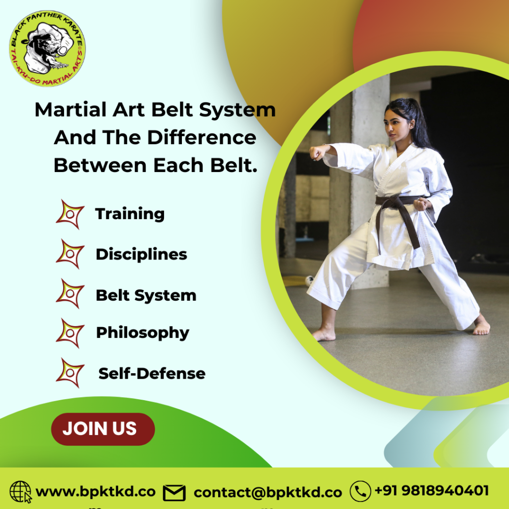 Martial Art Belt System And The Difference Between Each Belt.