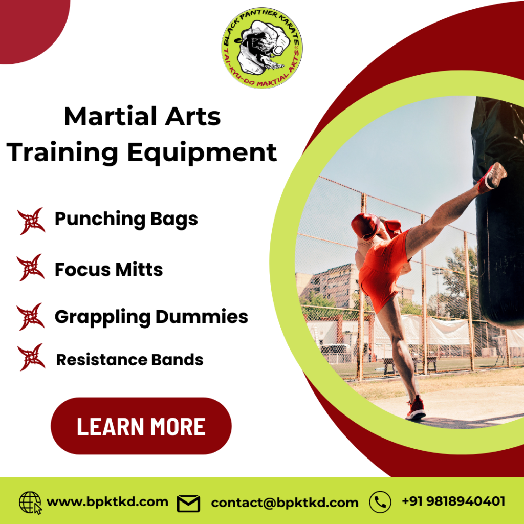 Martial Arts Training Equipment