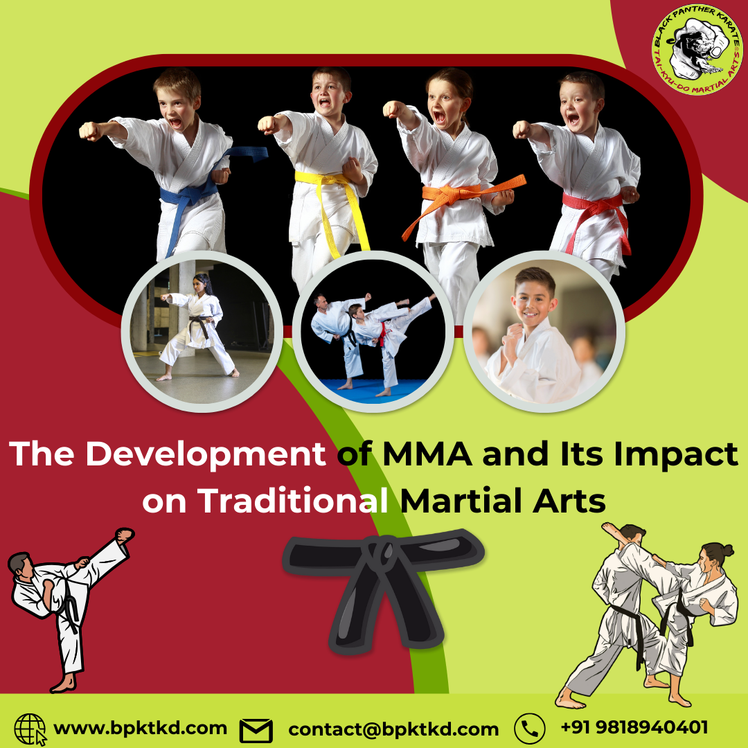 The Development of MMA and Its Impact on Traditional Martial Arts