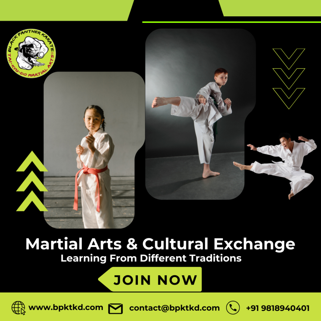 Martial Arts and Cultural Exchange: Learning from Different Traditions