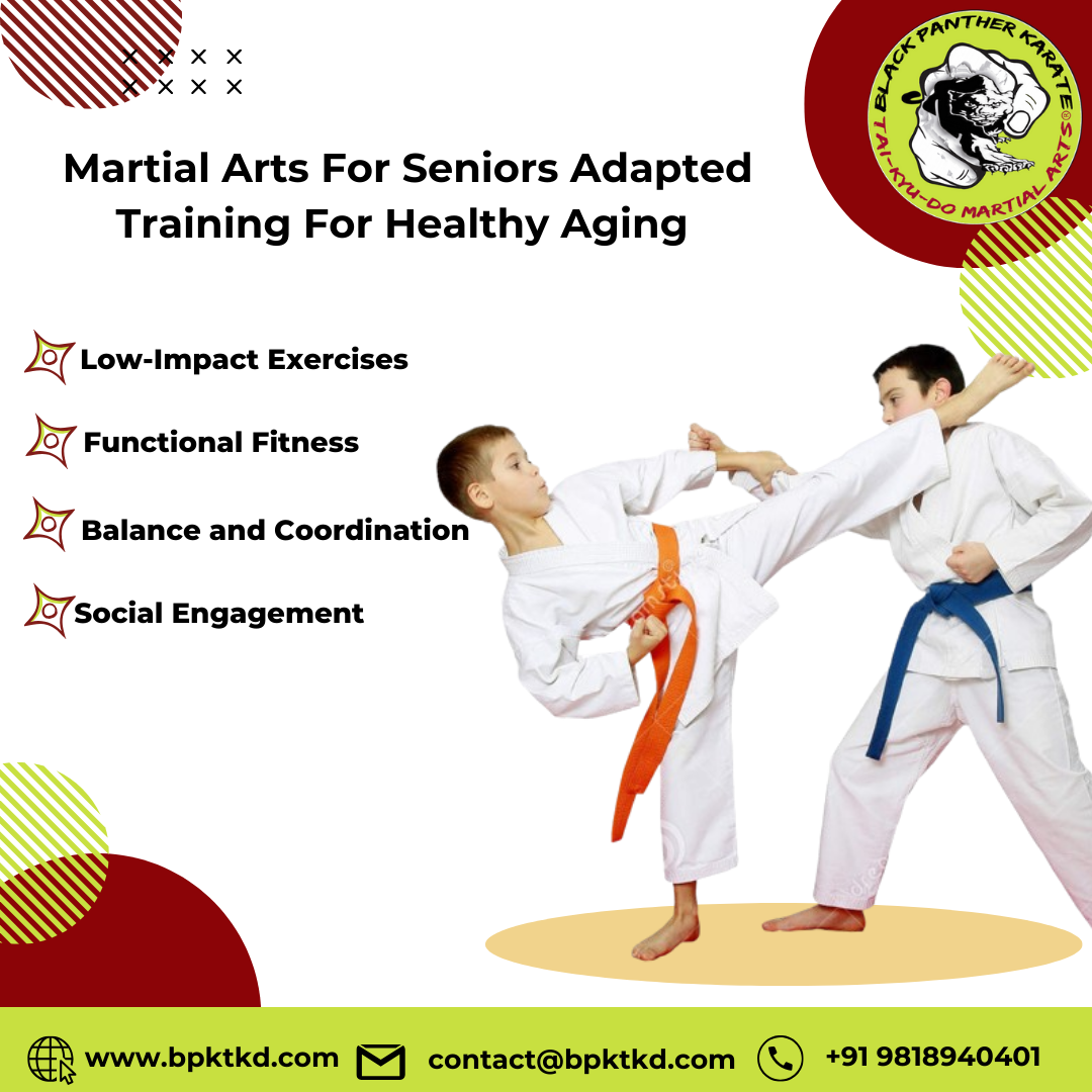 Martial Arts For Seniors Adapted Training For Healthy Aging